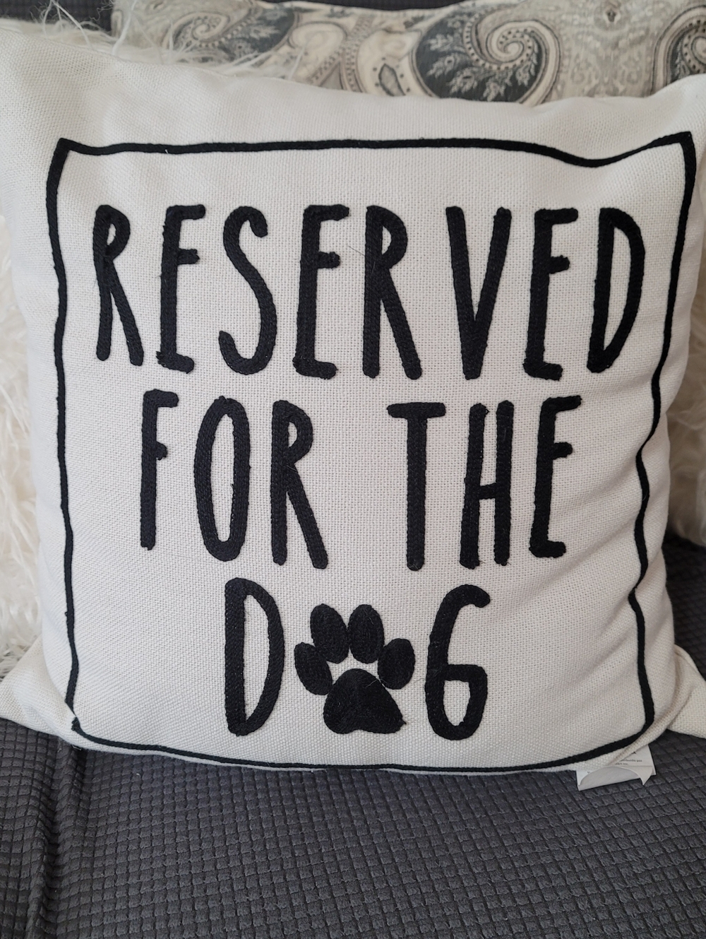 Accent Pillow